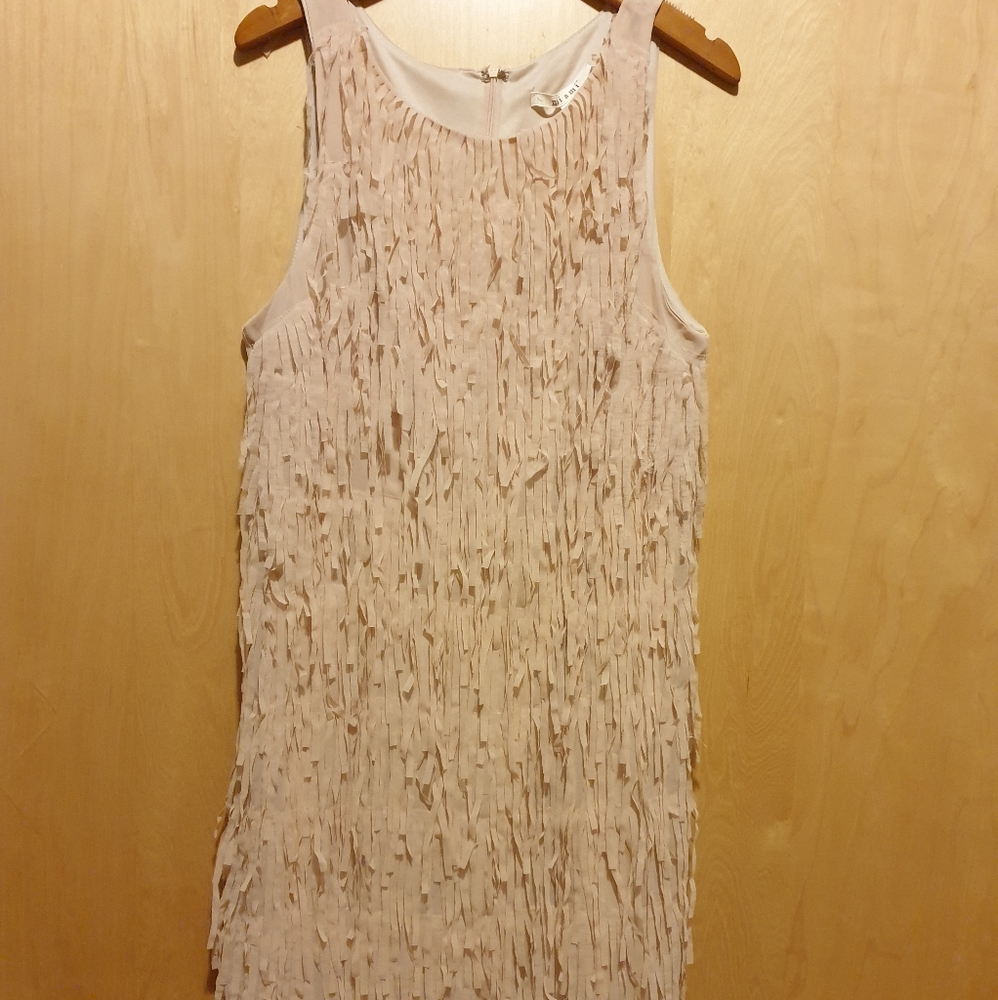 Sleeveless Light Pink Fringe Dress